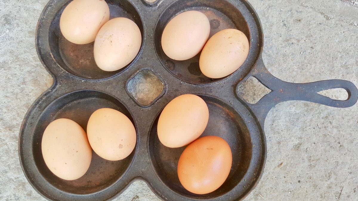 Čas vaječných orgií aneb Vejce desetkrát jinak